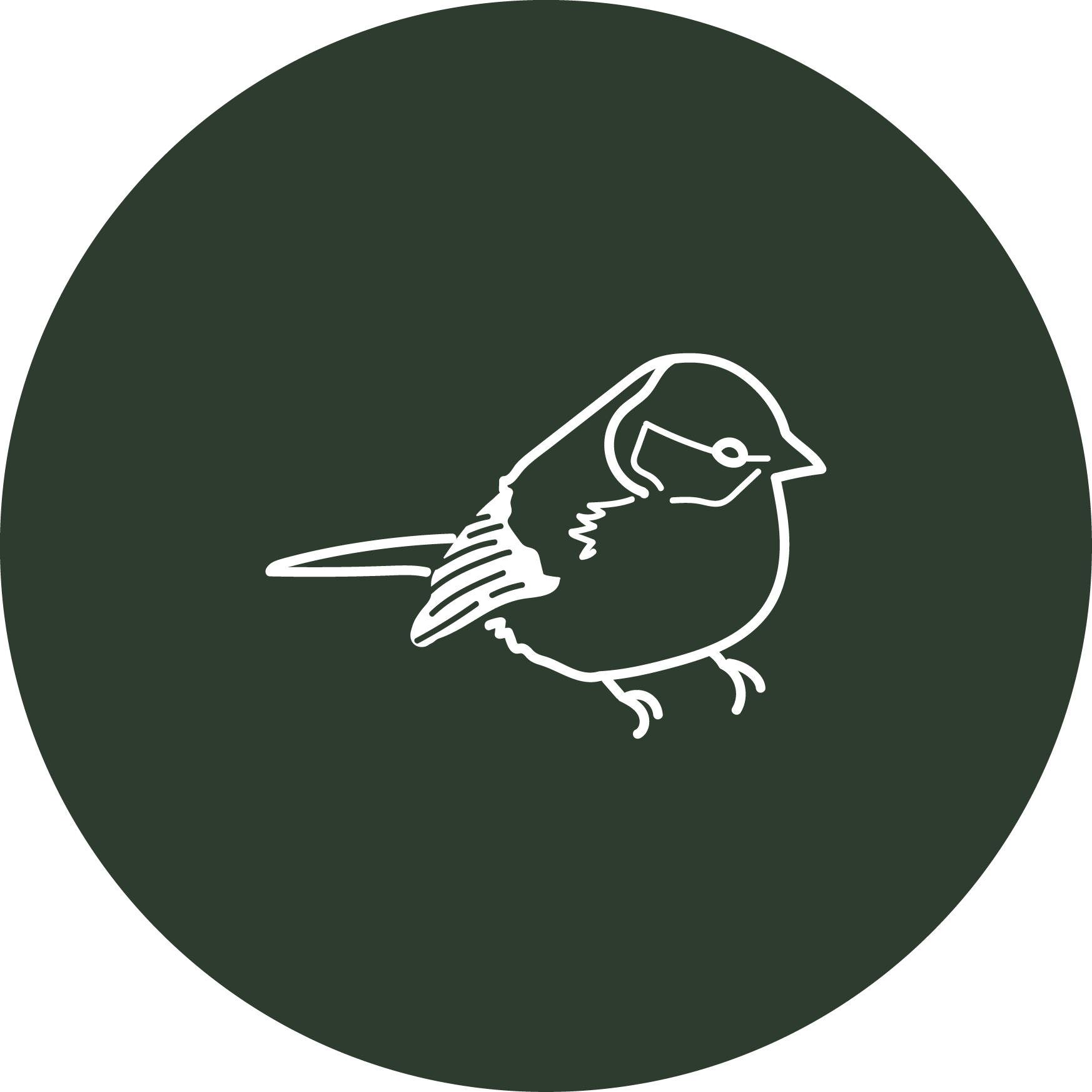 Minimalist line drawing of a bird on a dark green background.