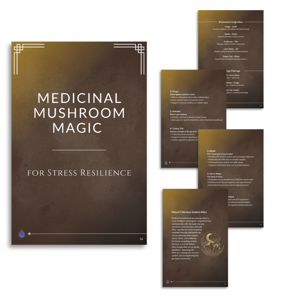 stress-less-medicinal-mushrooms-herbs.png