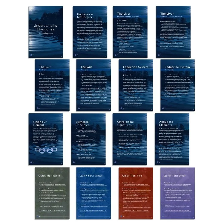 hormone-harmony-pages-preview2.jpg