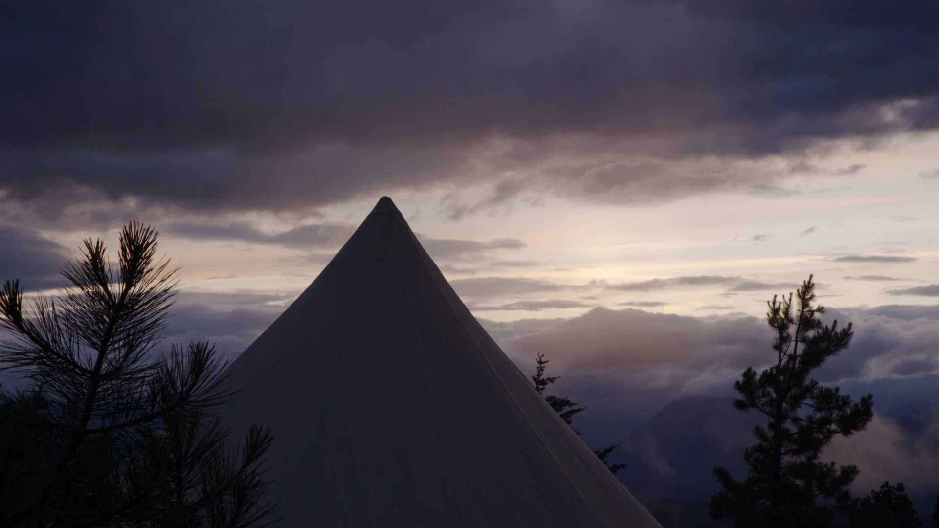 Stout Tent