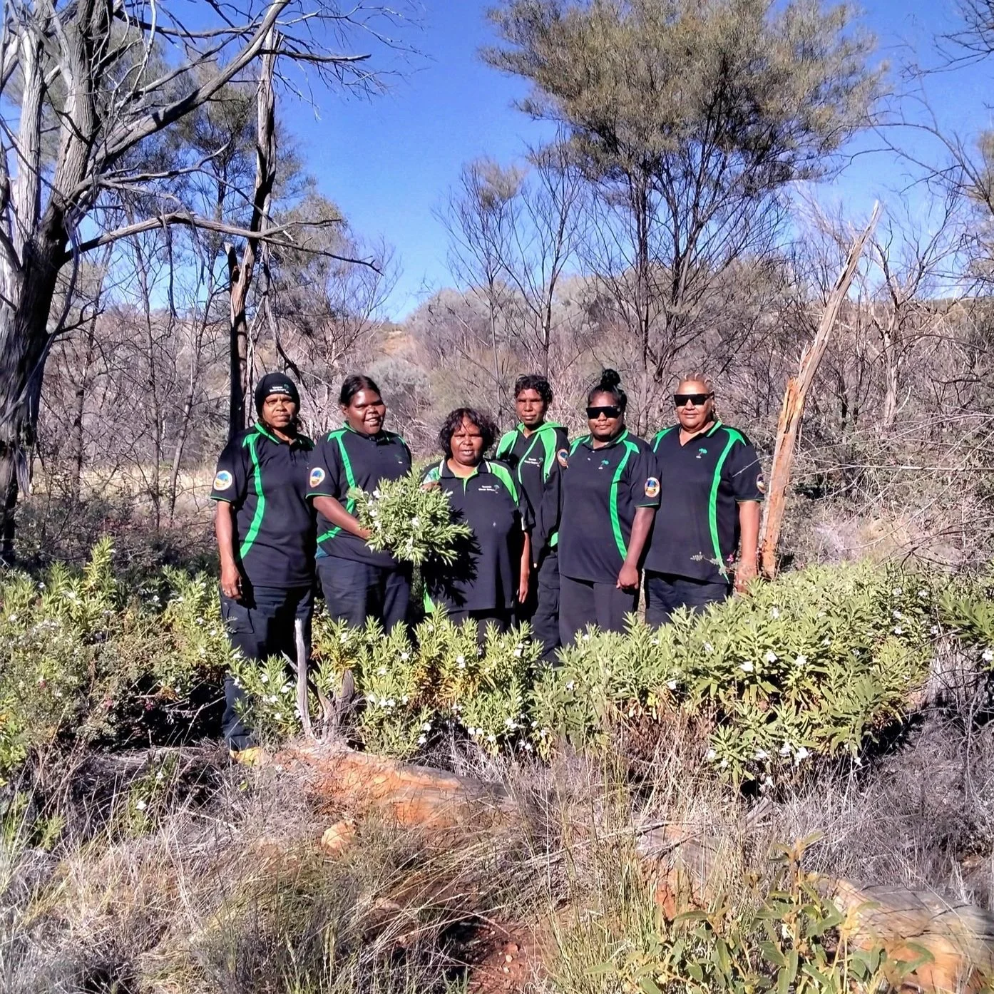 Women Rangers_Image.jpg