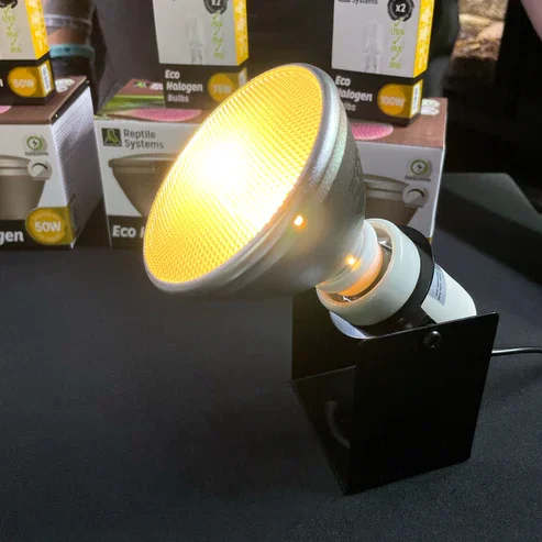 Halogen white 3.webp