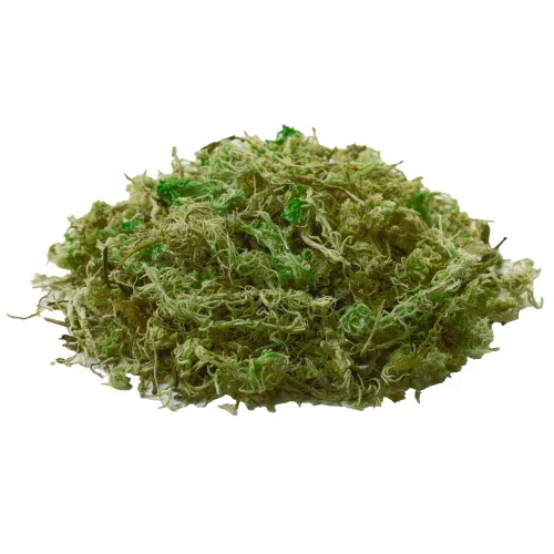 Dupla Hobby Natural Moss