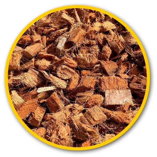 Dupla Hobby Terrano Koko Chips 2.webp