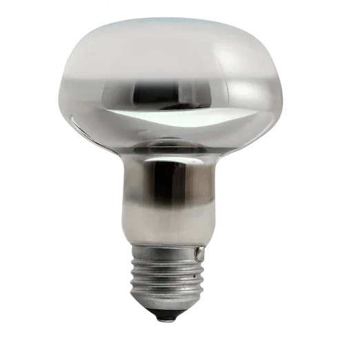 Reptile Systems Basking Solar Spot 3.webp (Copy) (Copy)