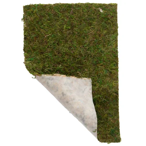 Dupla Terrano Moss - Natural Moss on Fleece