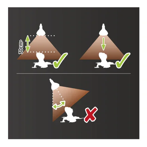 mercvap 70w 3.webp (Copy) (Copy) (Copy)