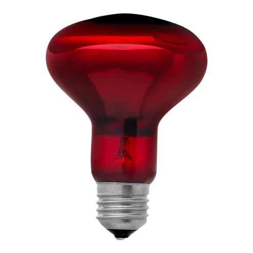 Infrared.webp (Copy) (Copy) (Copy)