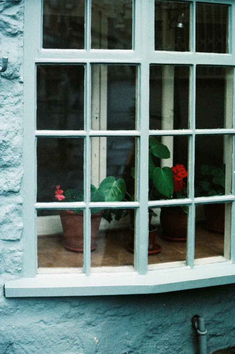 Restoring the Performance of Older Windows Without a Complete Upgrade