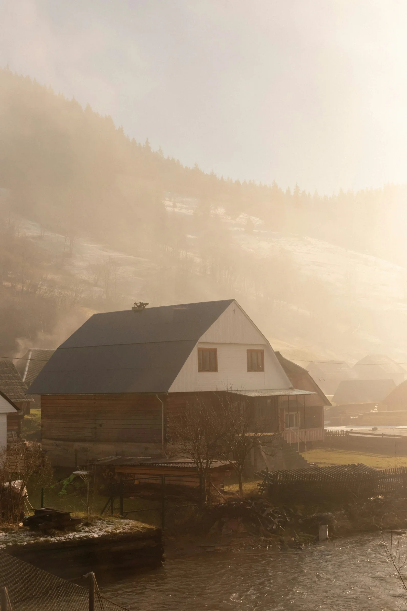 Why Professional Water Extraction is Essential After a Home Flood