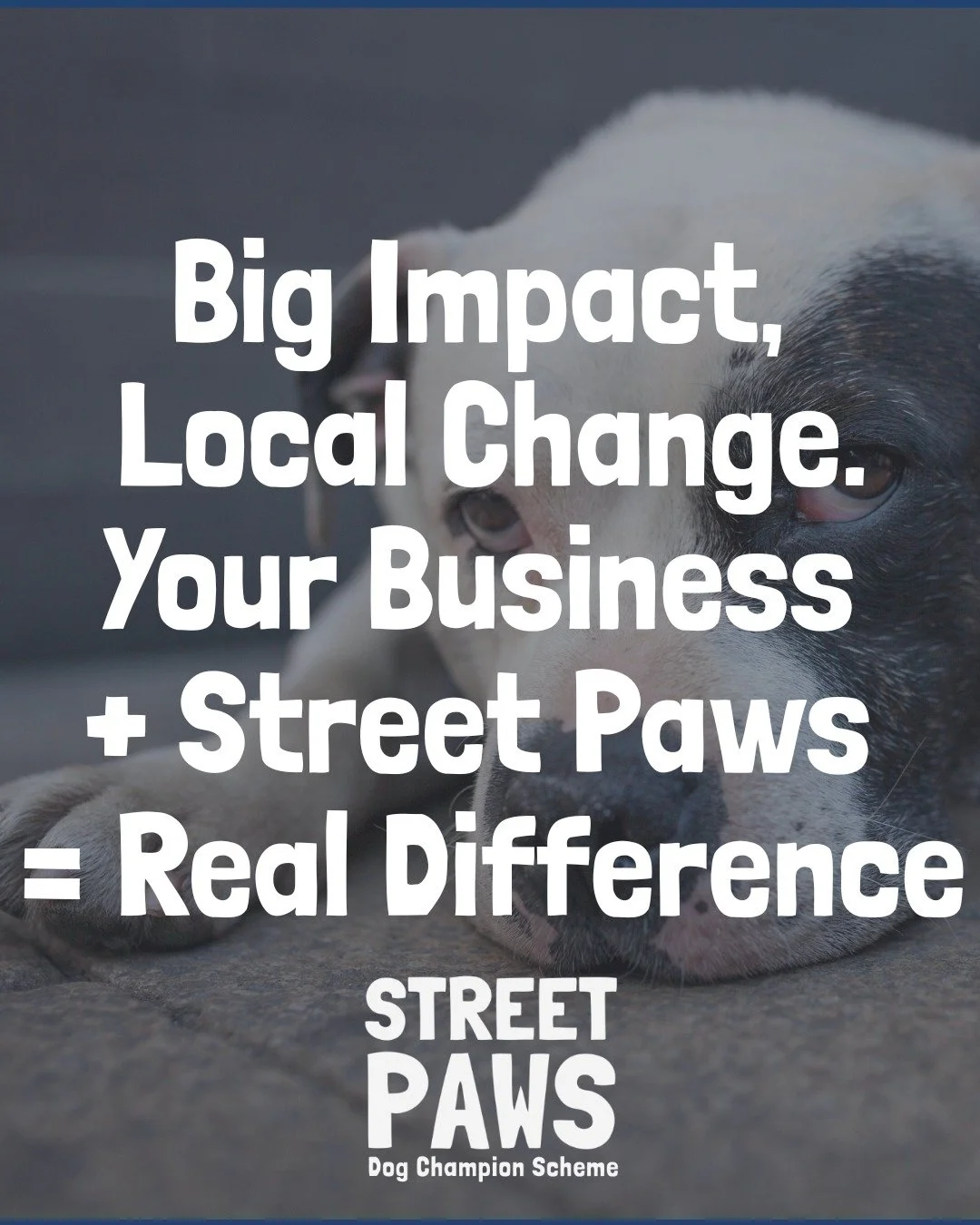 📣 Small businesses, big hearts&mdash;can you help?

We&rsquo;re looking for amazing small businesses to partner with us and support our work with people experiencing homelessness and their much-loved pets. 🐾❤️

Whether it&rsquo;s a one-off fundrais