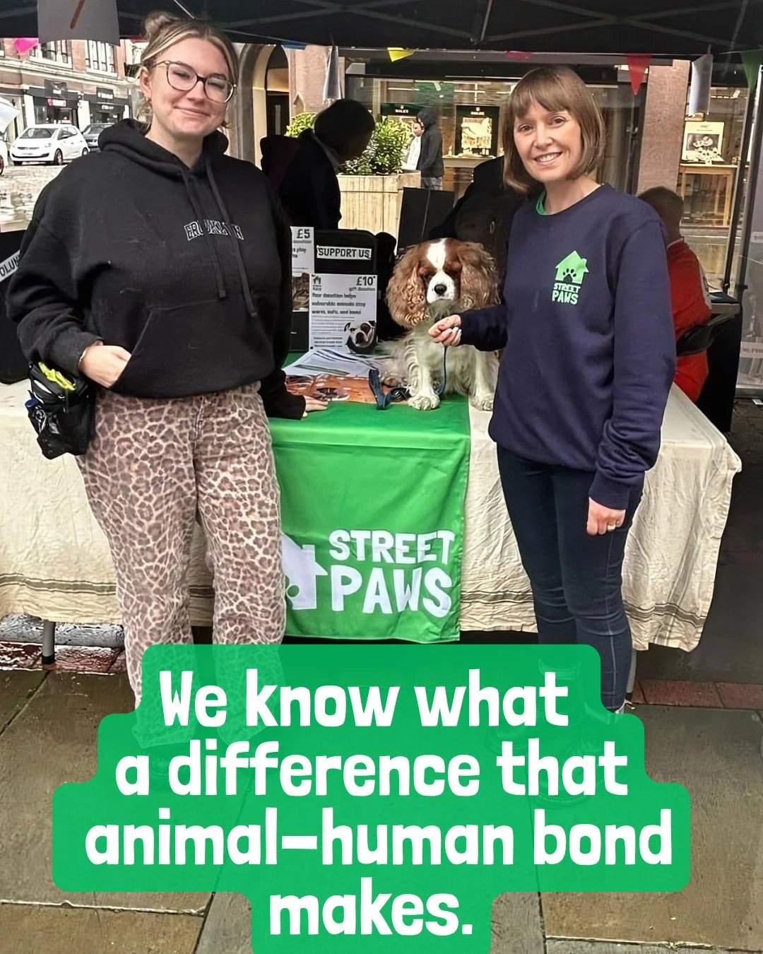 Our Volunteer Co-ordinator Liz has been out and about meeting people and sharing our work at the Manchester Volunteer Fair. Whilst there Liz met the lovely Alfie from @noahs_a.r.t  a fabulous not for profit organisation based in Manchester. They do s