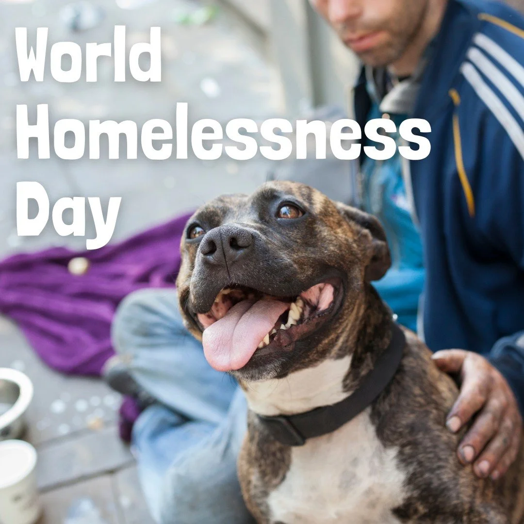 Today is World Homelessness Day. Behind every statistic is a person &mdash; and often, a pet who is their only constant companion.

🐶🐱 97% of homeless pet owners choose to stay on the streets rather than give up their pet. That&rsquo;s how deep the