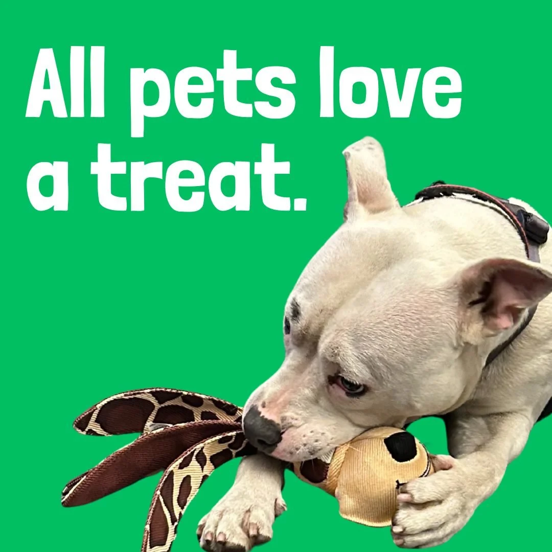 For pets living with owners experiencing homelessness, toys aren&rsquo;t just &ldquo;extras&rdquo; &mdash; they&rsquo;re essentials? Play helps reduce stress, strengthens the bond between owner and pet, and brings moments of joy in tough times. 💛

Y