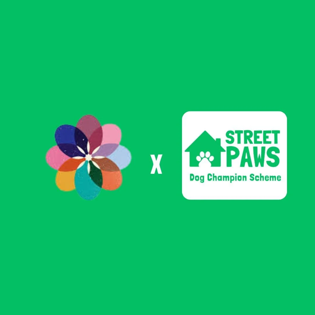 Hostel Highlight: Wearside Women in Need 🌟

This month, we&rsquo;re shining a spotlight on Wearsides Women in Need, a vital North East hostel supporting women experiencing homelessness. 🏠💛

Street Paws is proud to work alongside their team to make