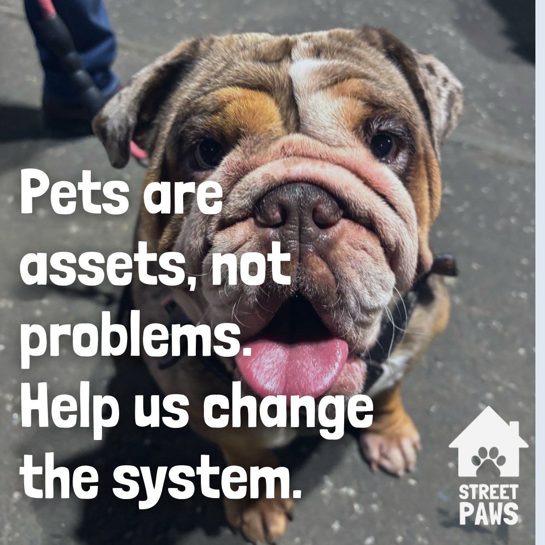 Pets are family, not problems. Yet, for many experiencing homelessness, their beloved companions can create barriers to accessing vital services. At Street Paws, we're working to change that system and ensure no one has to choose between shelter and 