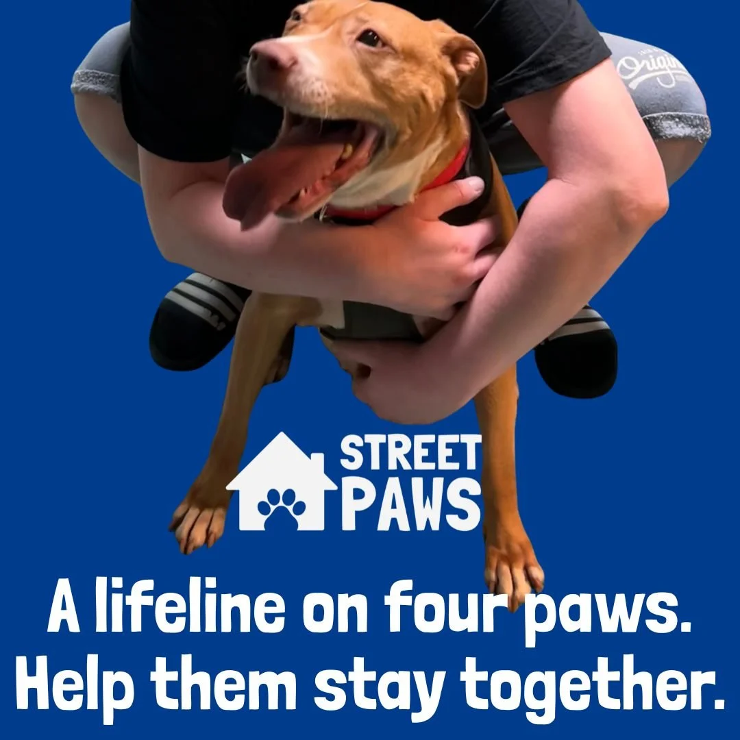 At Street Paws, we believe compassion should never come with conditions. We fight for services that see compassion as policy, not charity.

We're making pet-friendly support the norm, not the exception. By partnering with councils, hostels, and vets,