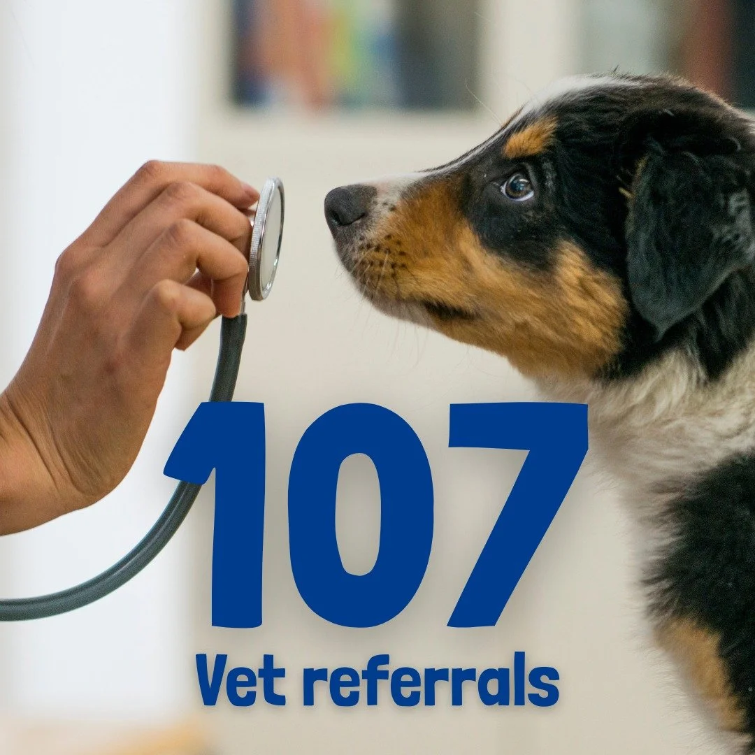 107 Reasons to Celebrate Autonomy!

Last year, Street Paws was proud to facilitate 107 vet checks and referrals for the pets of people facing homelessness!  That's 107 chances to ensure a beloved companion received the care they needed.

This huge mi