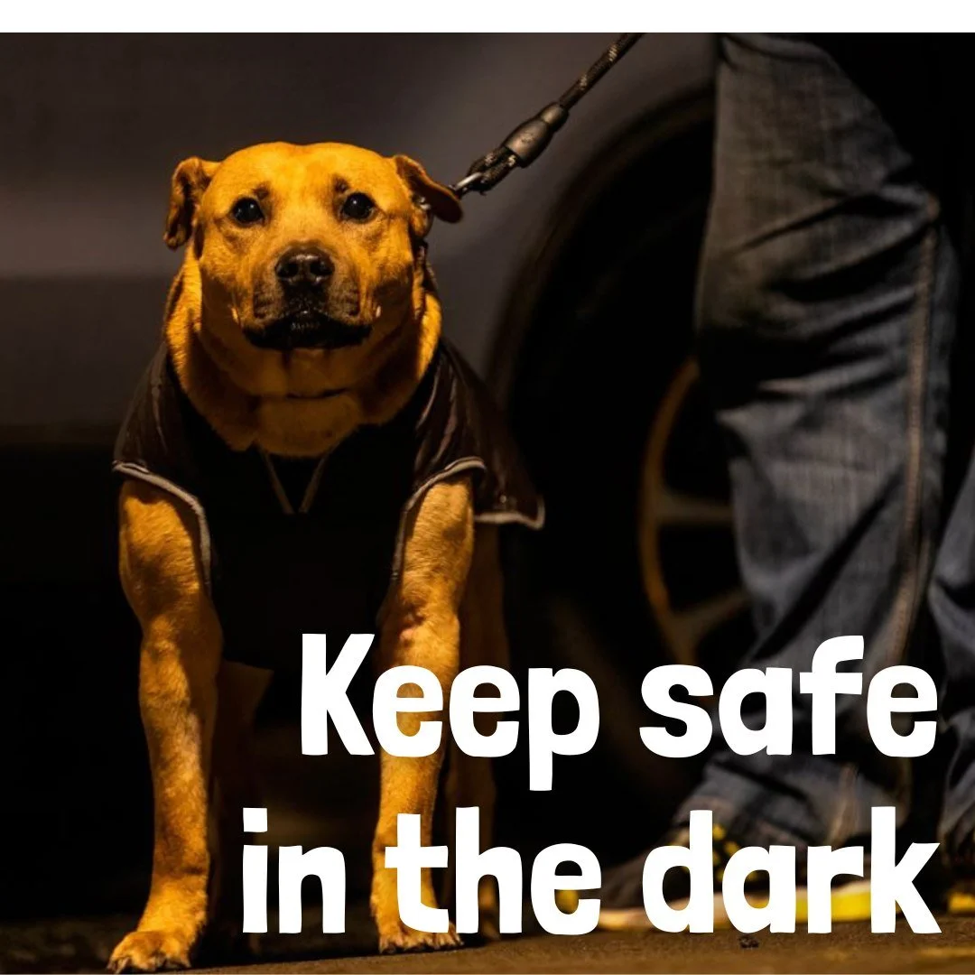 Stay Safe, Stay Seen on Night Walks! 

As the evenings get darker, remember these essentials:

- You &amp; Your Dog: Wear reflective gear (vests, collars, leashes).

- Light the Way: Always carry a charged torch or wear a headlamp.

- Stay Alert: Sti