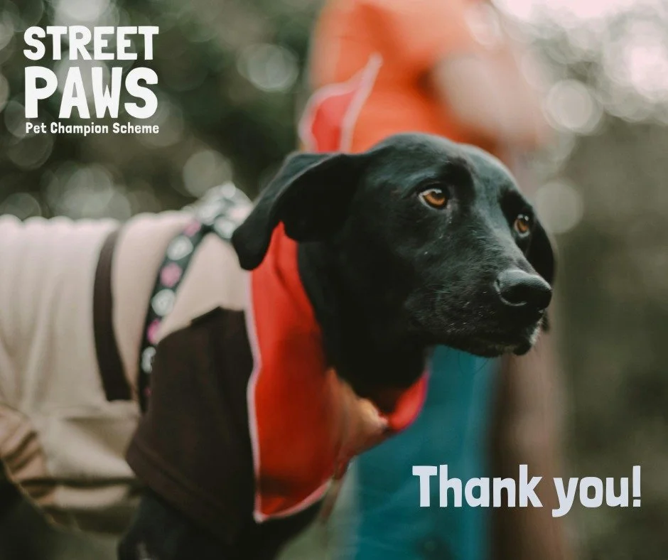 A big thank you to Laura Thompson, a very kind lady who donated lots of blankets, dog toys and dog food to us. As we weren't able to store them at that time, Laura dropped them off at @LifeshareUK in Manchester so they can be provided to those with p