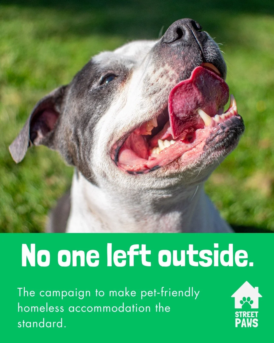 A new year brings the chance to do things differently.

Too many people are still being forced to choose between a safe place to stay and the animal they love. For those experiencing homelessness, that choice often means being left outside.

As we st