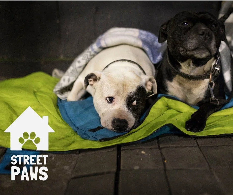 Snow can feel exciting, beautiful, even magical when you're warm enough to enjoy it. But for people who are street homeless with their pets, snow isn&rsquo;t a moment to admire, it&rsquo;s a moment to endure.

When the temperature drops, so do the op