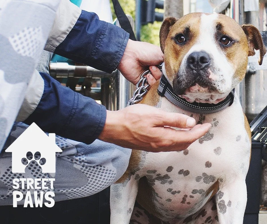 &ldquo;Why don&rsquo;t people just go into accommodation?&rdquo;

This is one of the most common questions we hear, and it deserves an honest answer.

Many people experiencing homelessness want safe accommodation. But when that accommodation doesn&rs