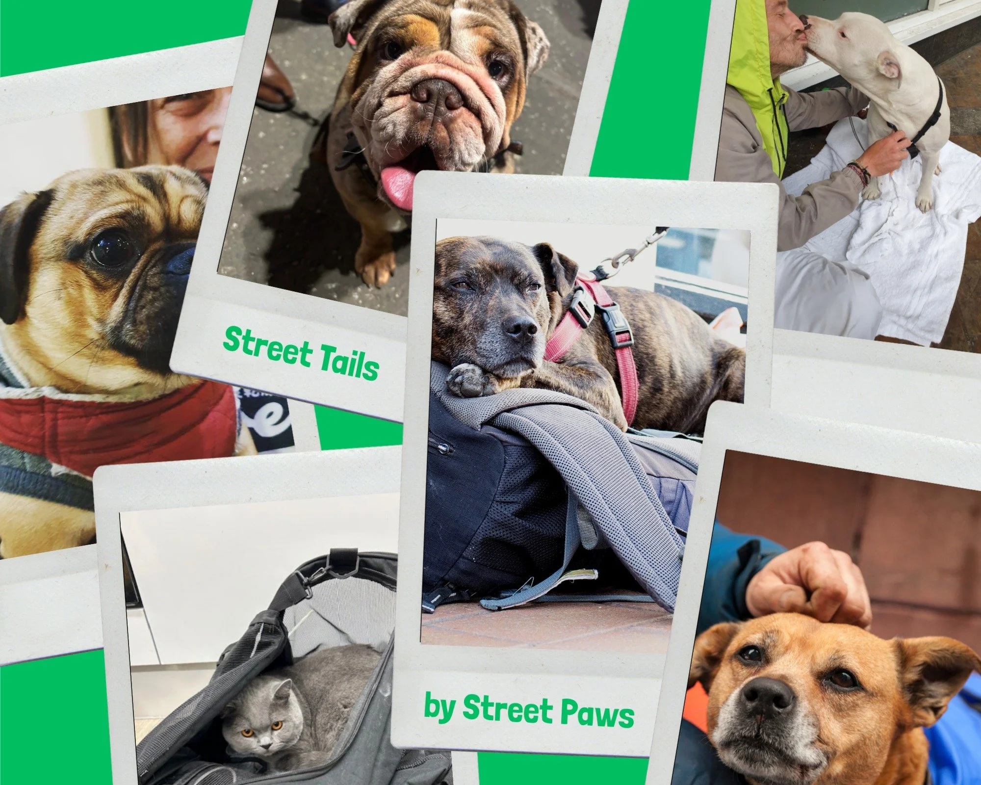 🐾 Introducing our new blog: Street Tails! 🐾

We&rsquo;re excited to launch Street Tails - a new space where we&rsquo;ll be sharing stories from the frontline of homelessness, updates from our work, and insights into the issues that matter most to p