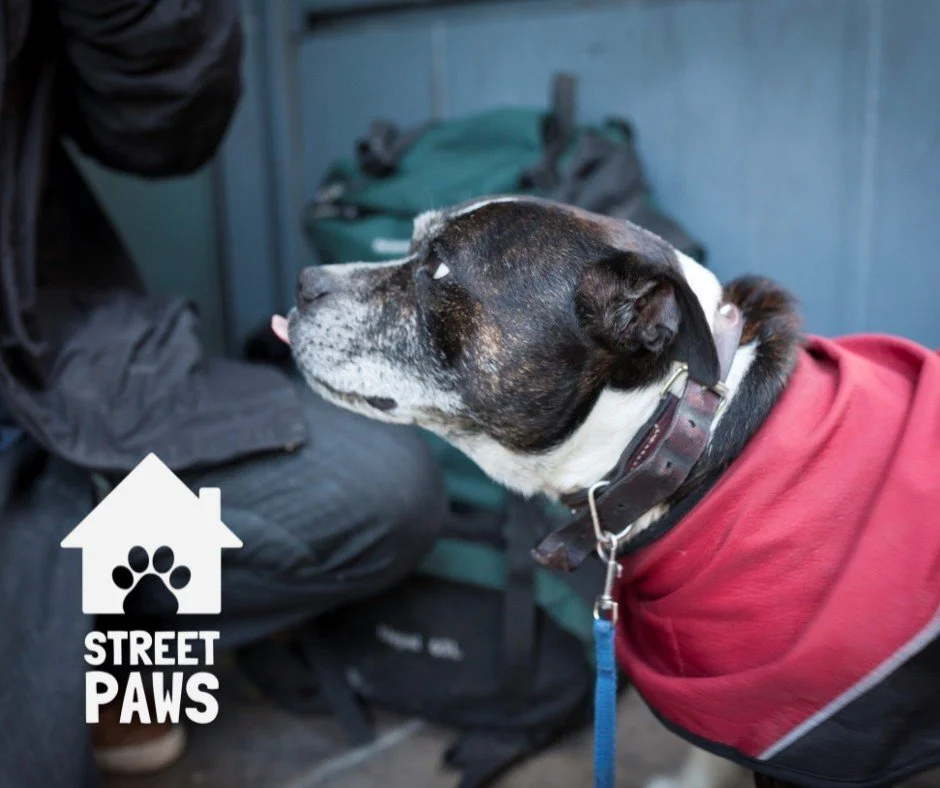 As we go into another cold spell, let&rsquo;s remember that cold weather can be tough for people and pets.

If you&rsquo;re out with your dog in winter, try to:

&bull; Keep walks shorter when it&rsquo;s very cold - two shorter walks are better than 