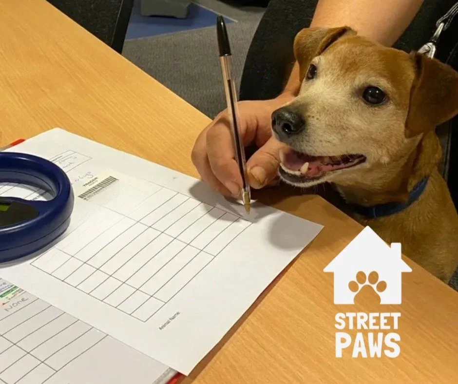 &ldquo;I&rsquo;ve done my paw-litical duty.&rdquo; 
Your move, humans. 🐾

Find the petition in our bio!