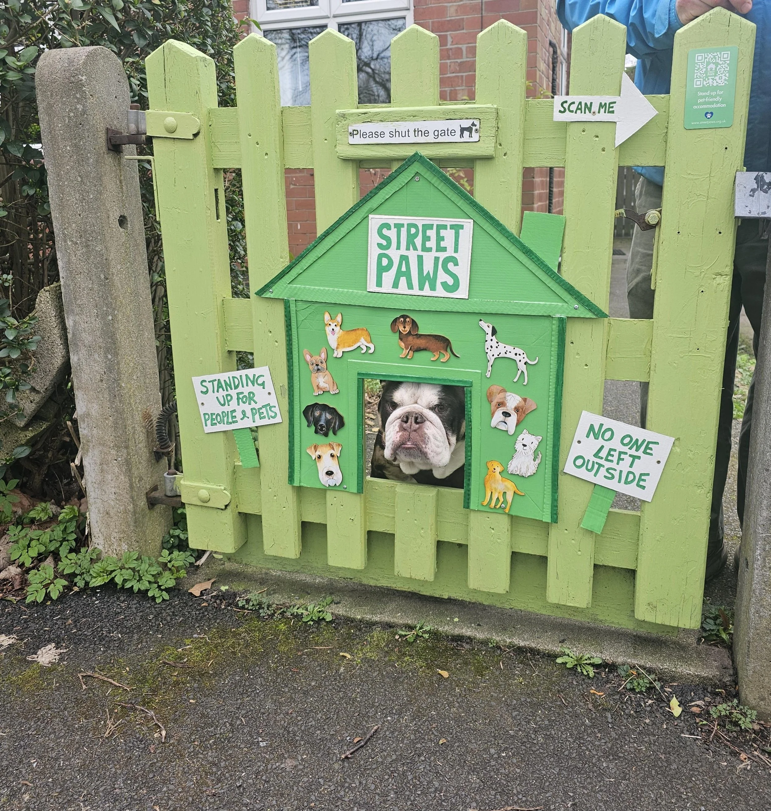 More Than a Petition: Why Keeping People and Pets Together Matters