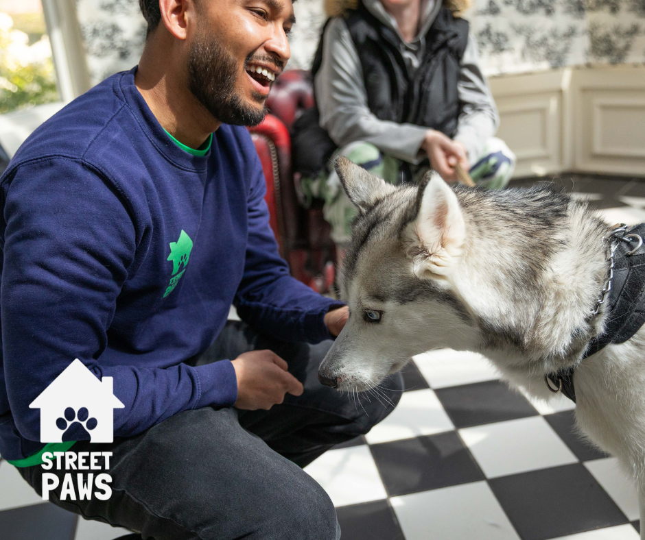 Cheers to 10 Years of Street Paws. From standing in a soup kitchen to Parliament!