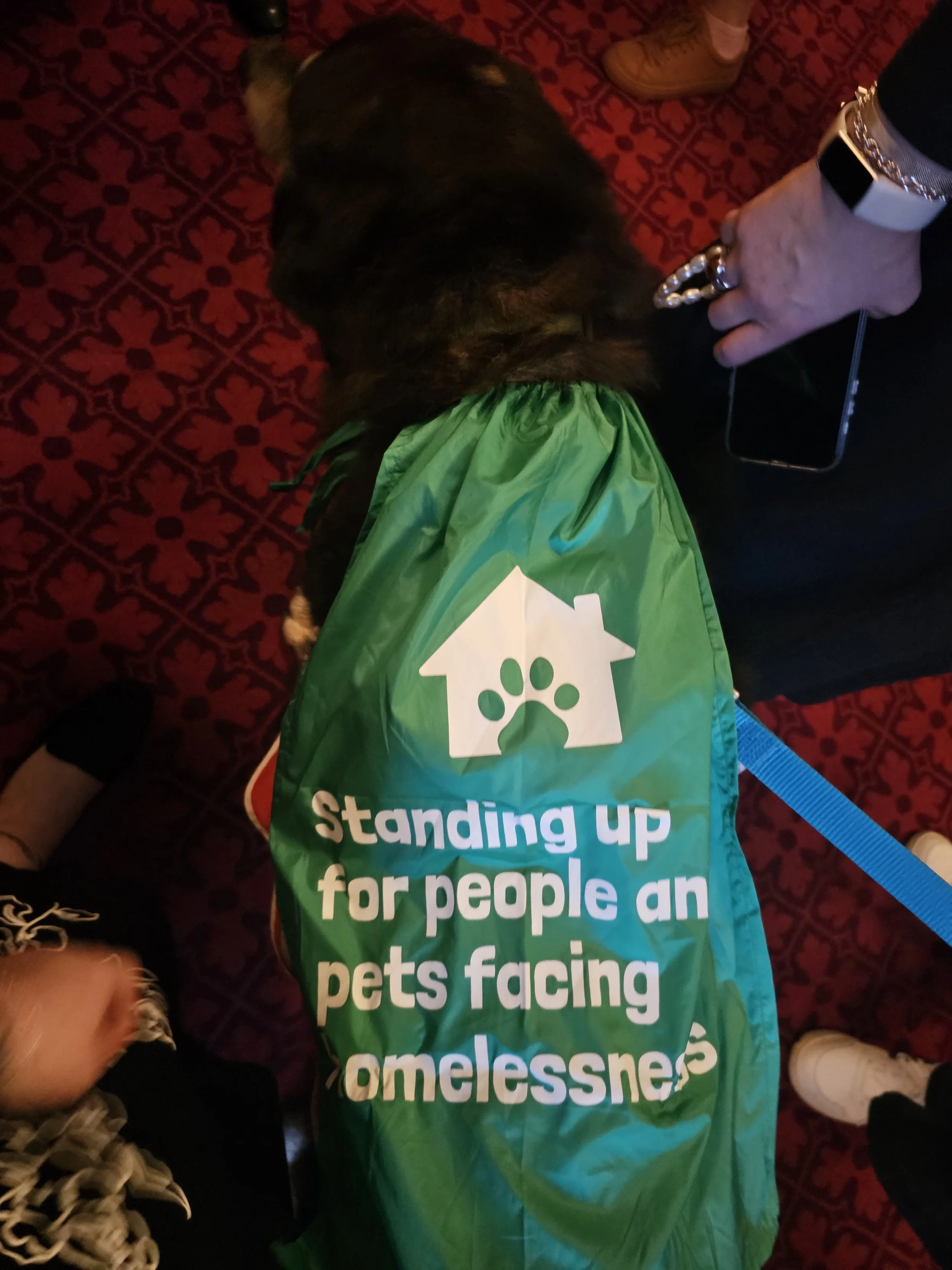 No One Left Outside: From One Idea to a National Movement