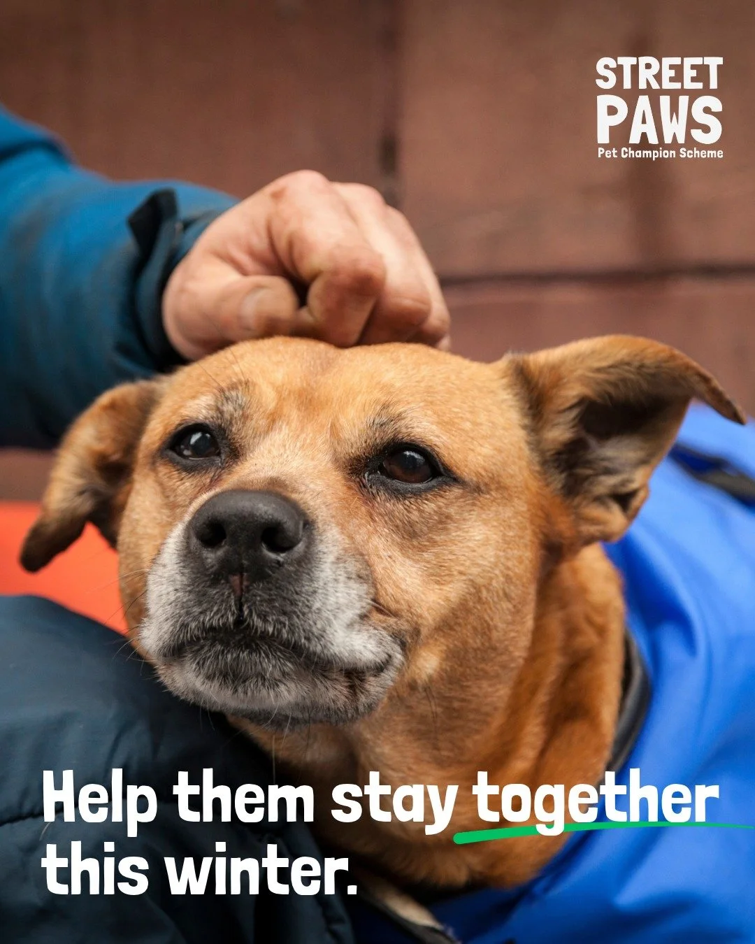 As the colder nights draw in, a hostel bed can literally mean life or death for some. But for many people facing homelessness, that bed comes with a condition: leave your dog outside. So they don't take it,  they stay out in the cold with the one com