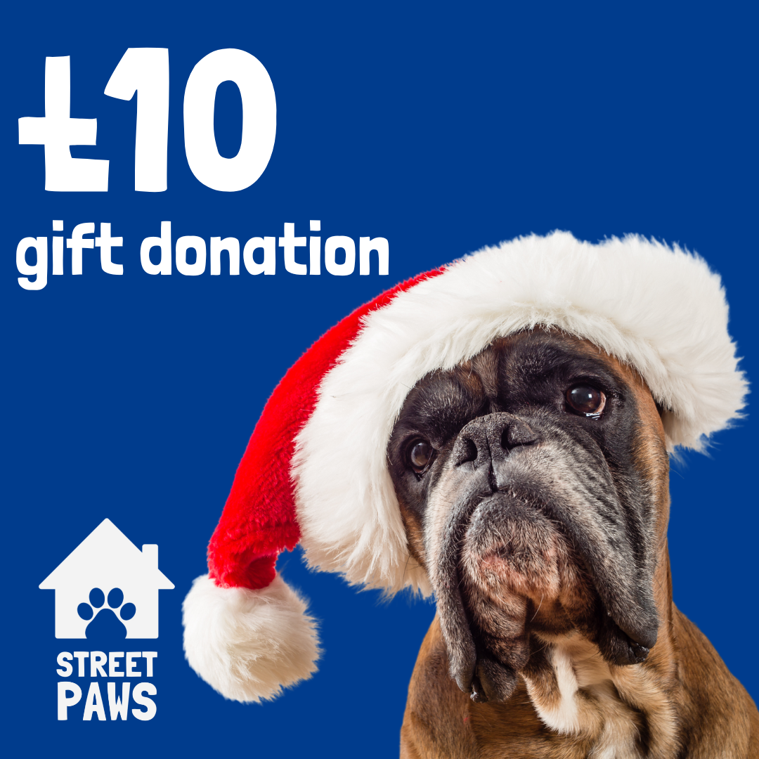 £10 gift donation