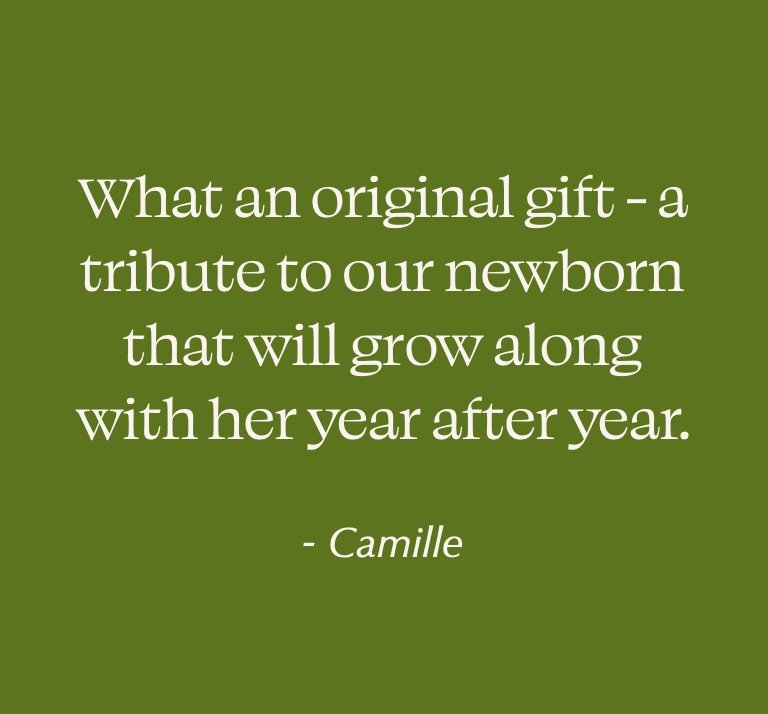 camille quote.jpg