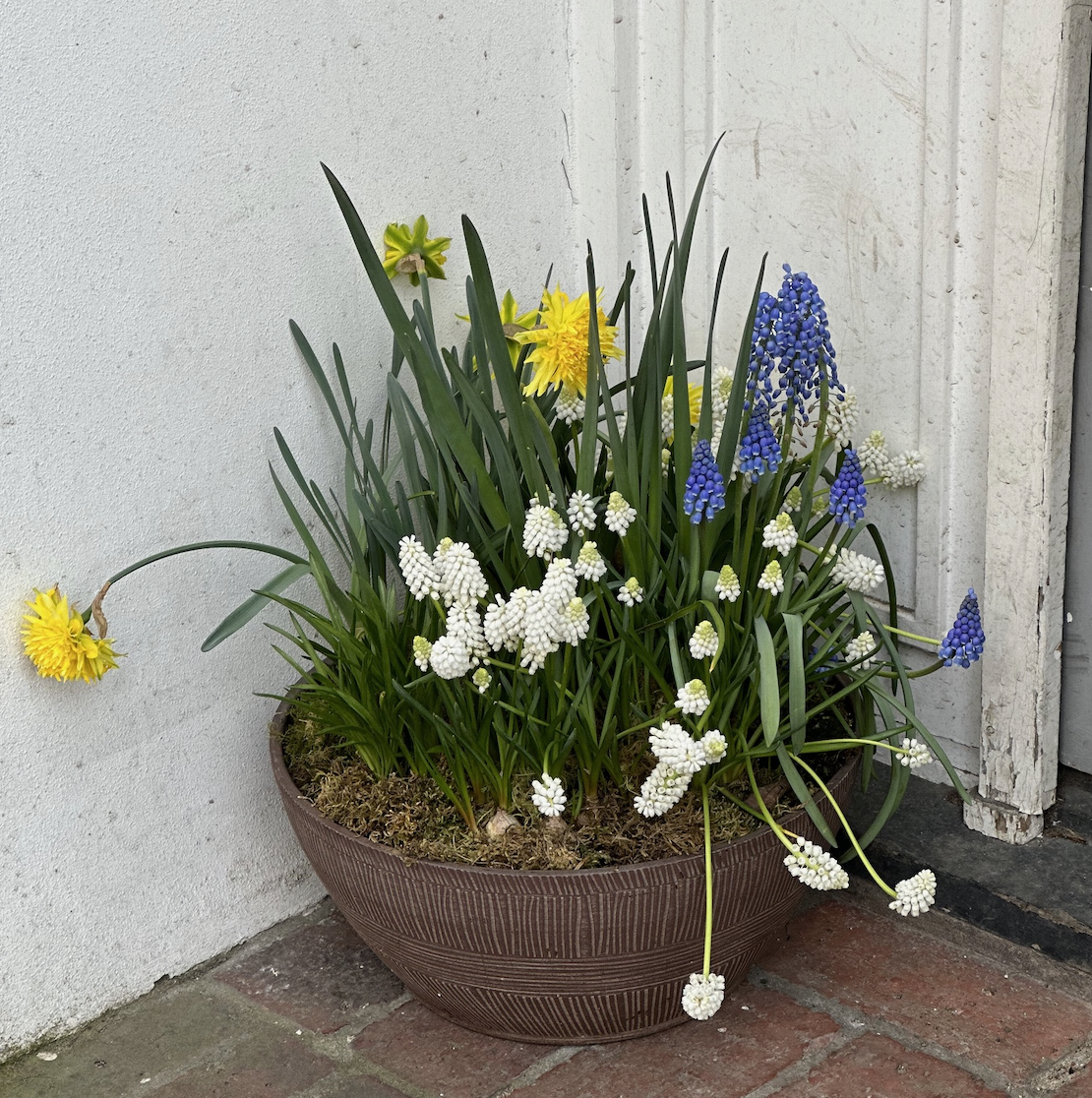 Screenshot 2026-03-25 at 17.18.11.png