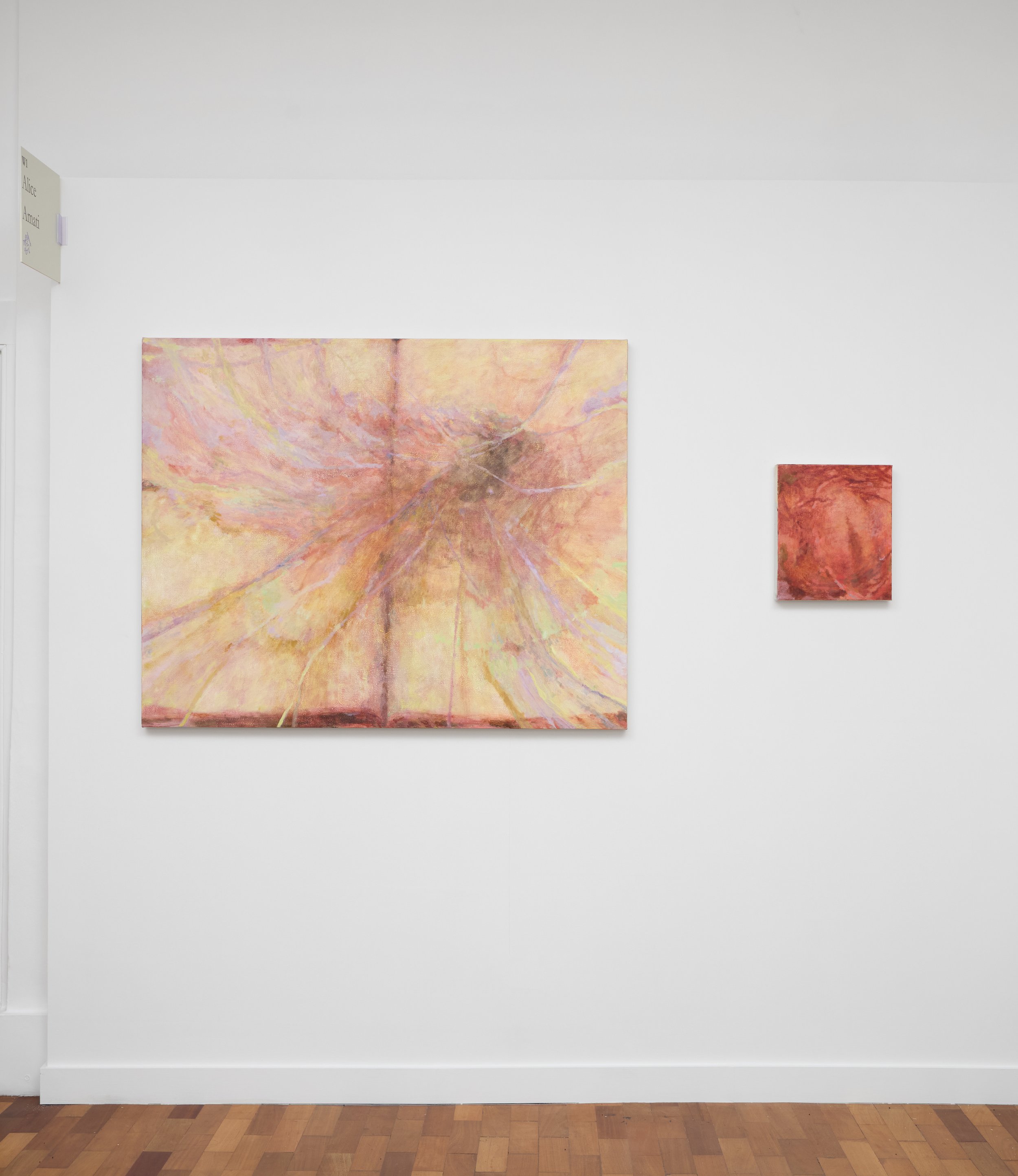 Echo Soho - Alice Amati - 001.jpg