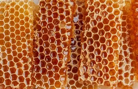 Honey Harvest