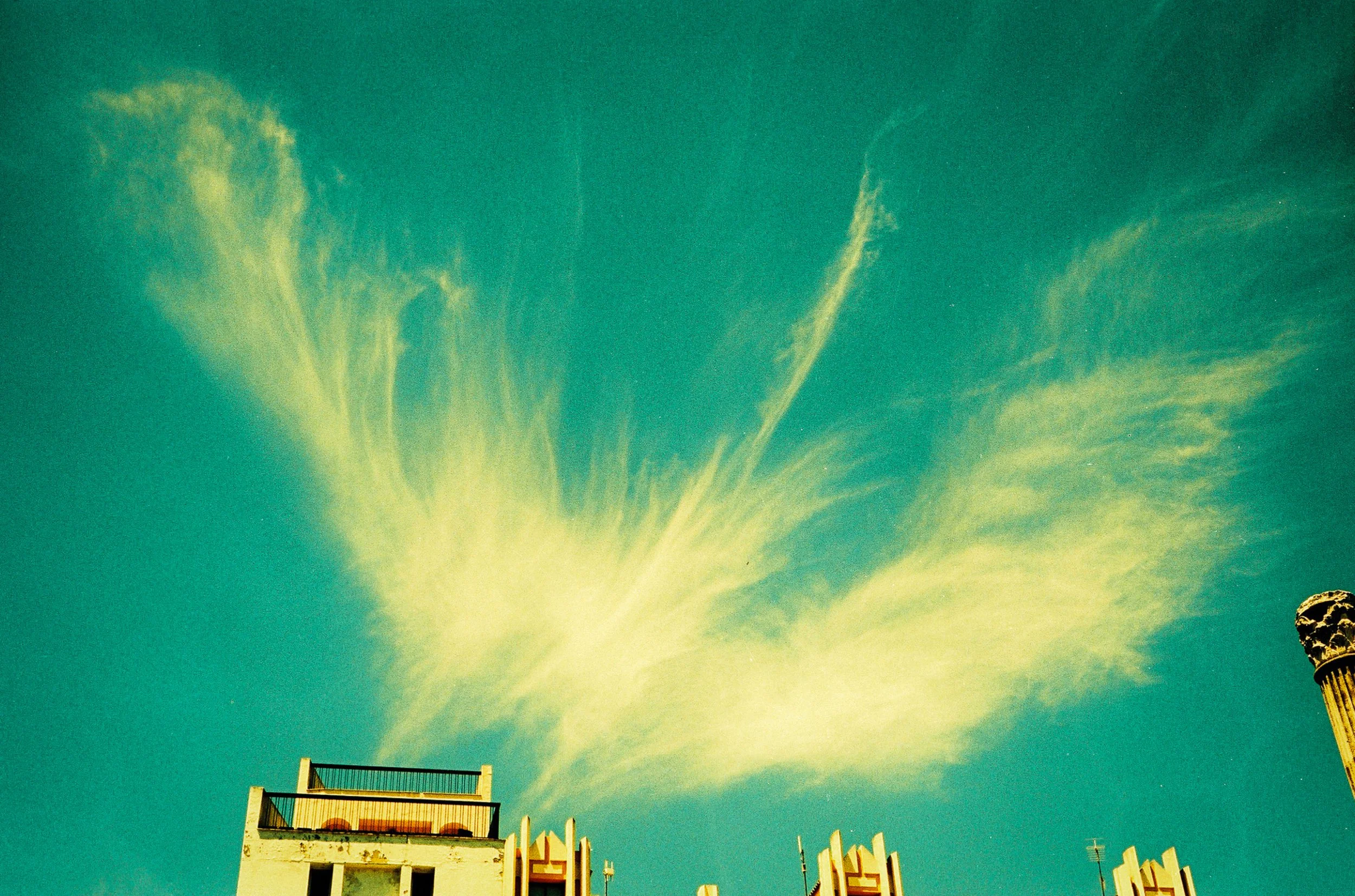 Capture d’écran 2026-03-03 à 22.00.59-2.jpg