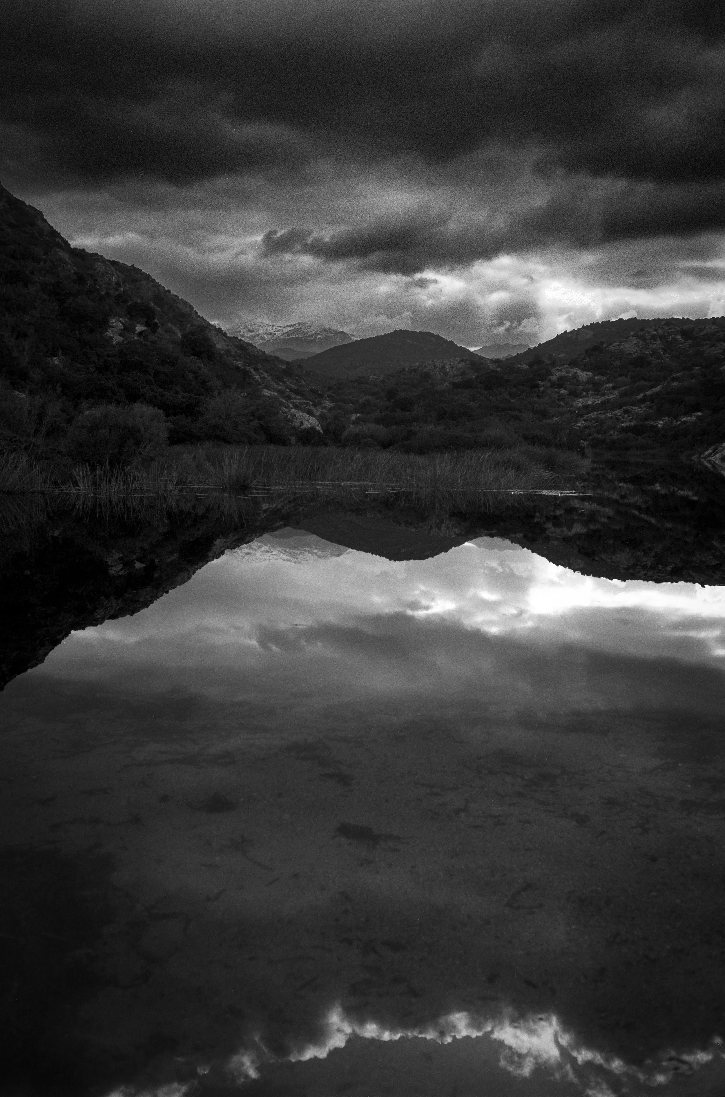 Corse Avril 2023_3-2.jpg