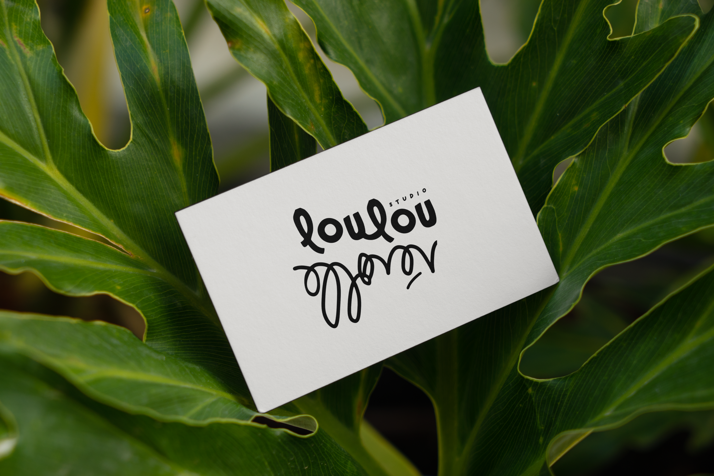 Free Business Card Between Ficus Mockup.png