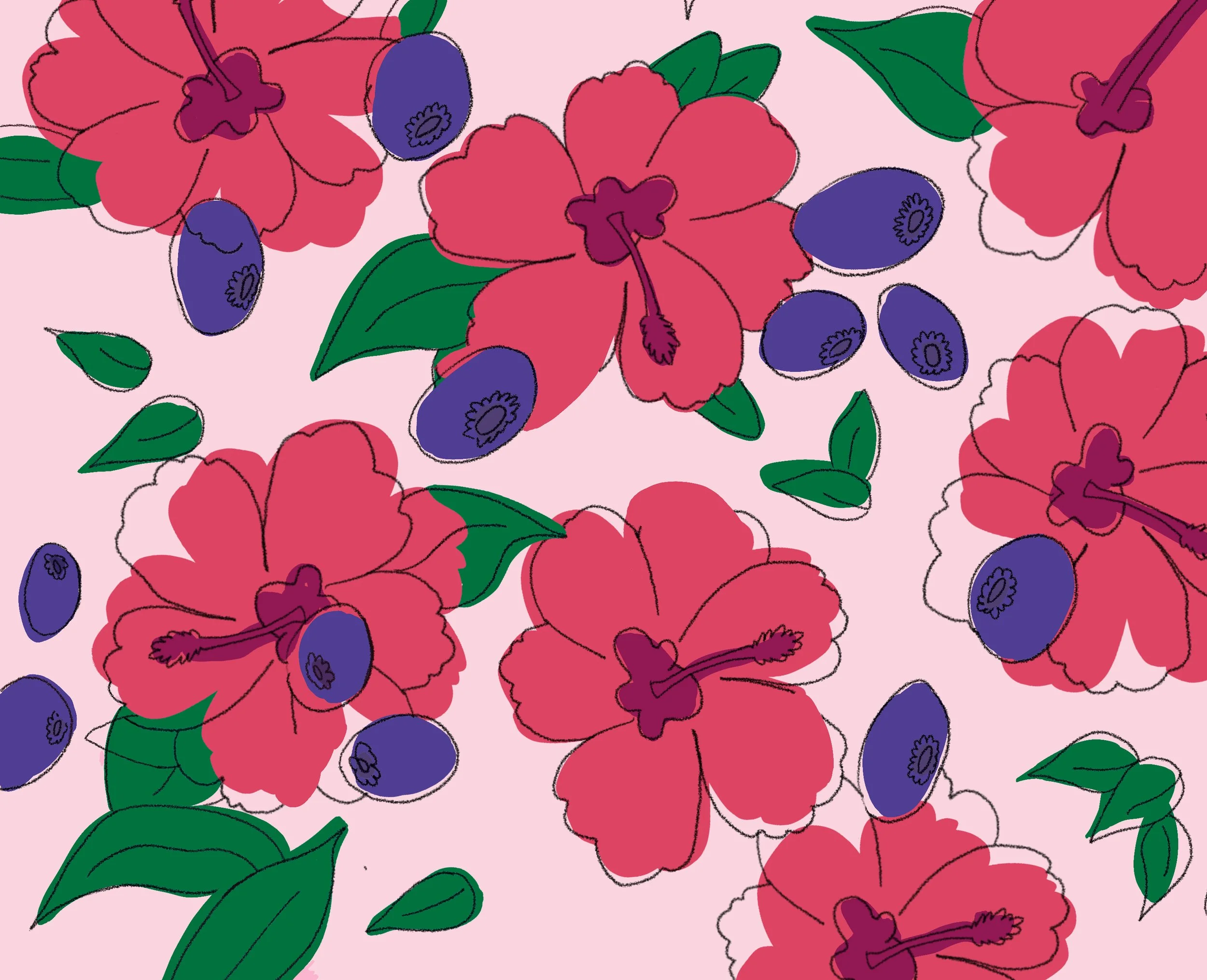 Hibiscus-Myrtille (002).jpg