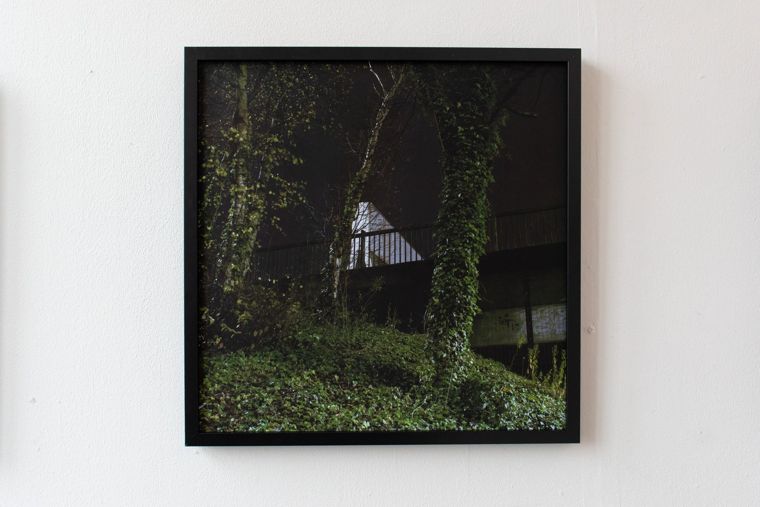 Framed matte inkjet prints of 120mm scan.