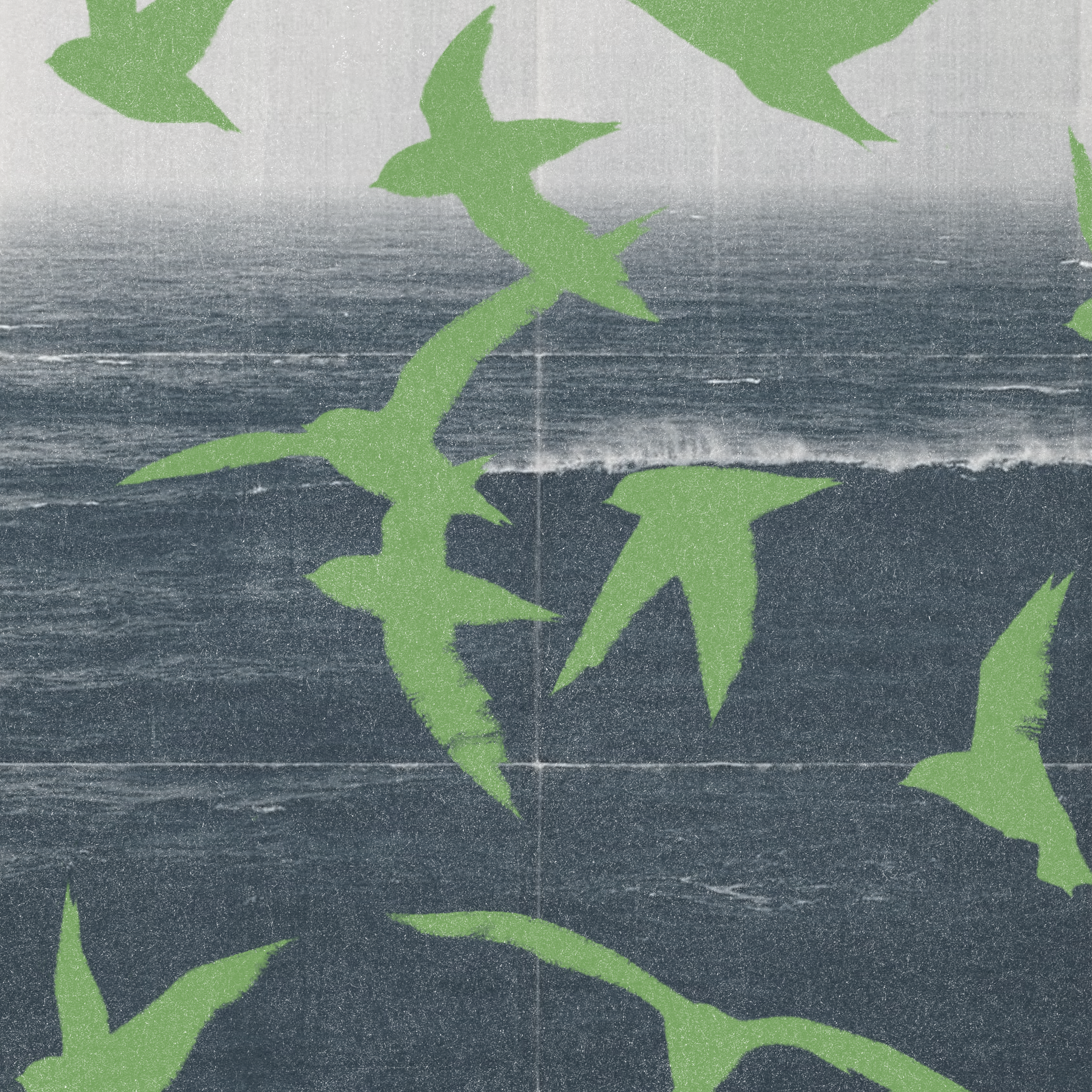 FlockOfBirds.png
