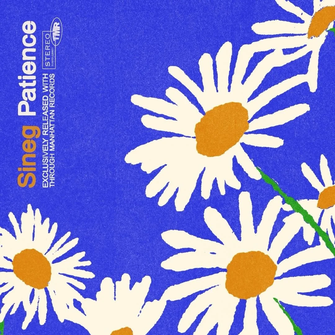 Close-up image of a record sleeve for Sine 9's album Patterson, featuring white daisies with orange centers and green stems on a blue background.