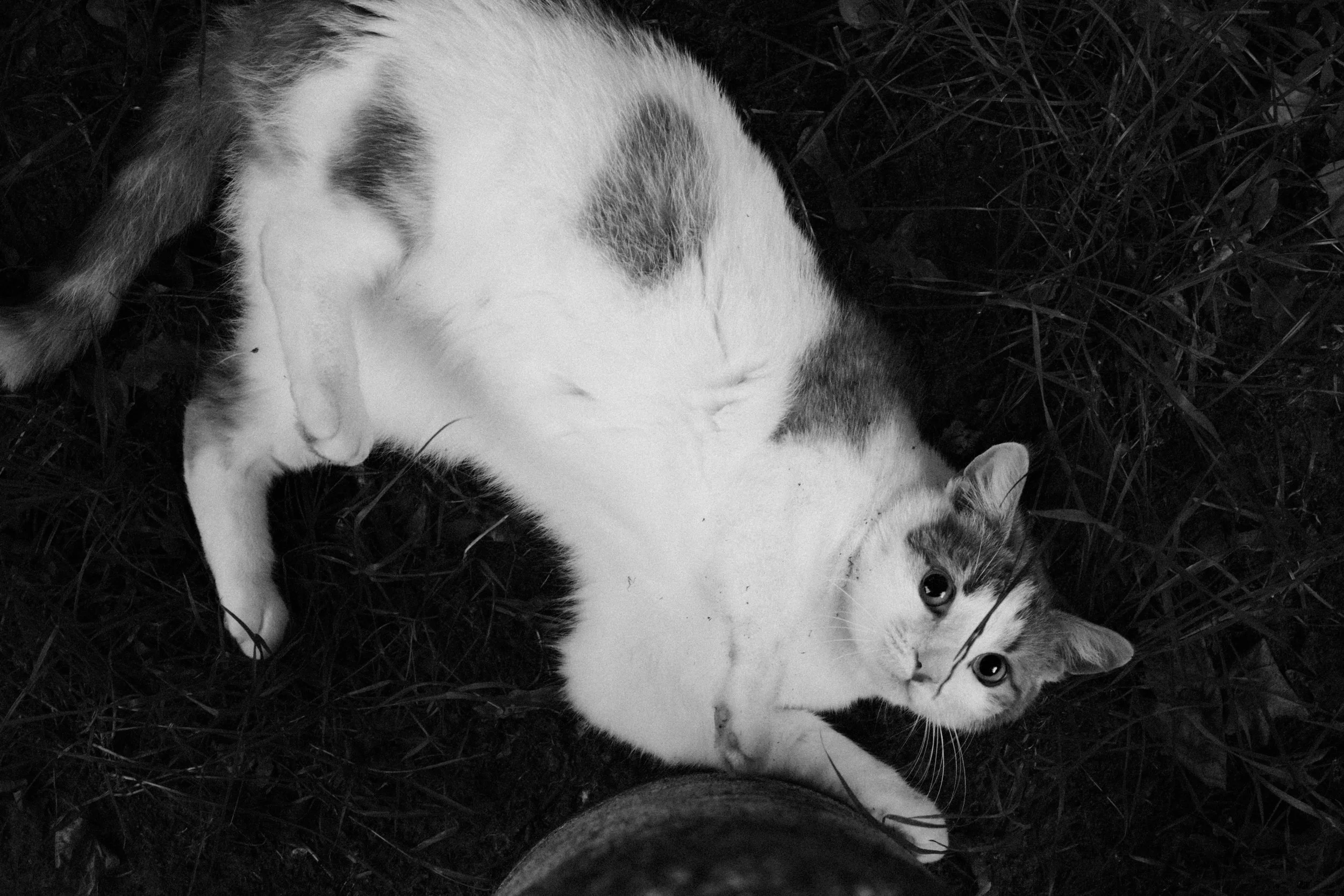DSCF0451.JPG