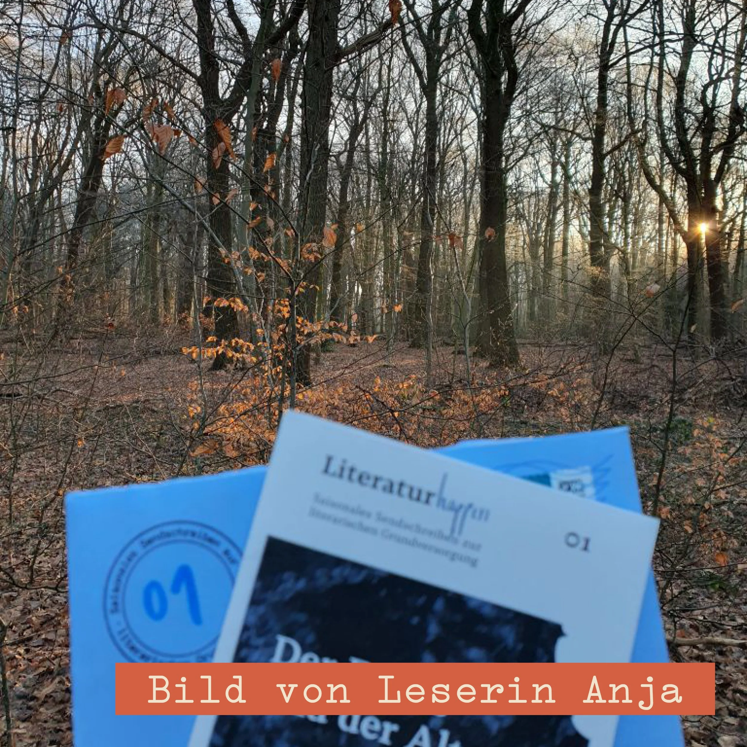 Bild von Leserin Anja