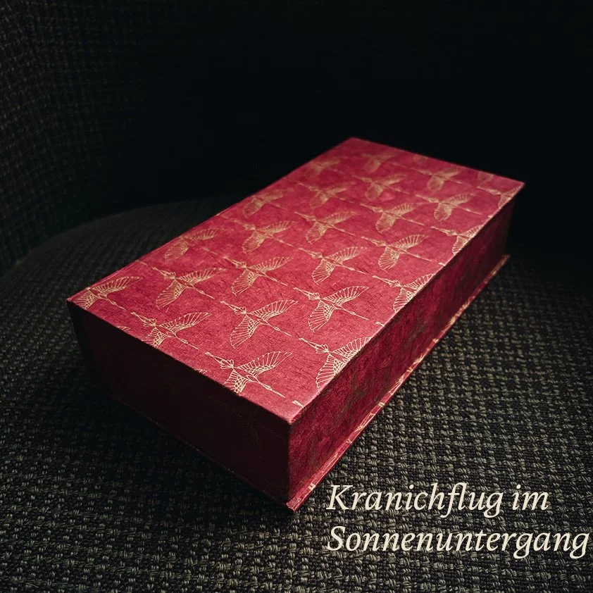 literaturhappen-juliana-socher-abo-box3.jpg