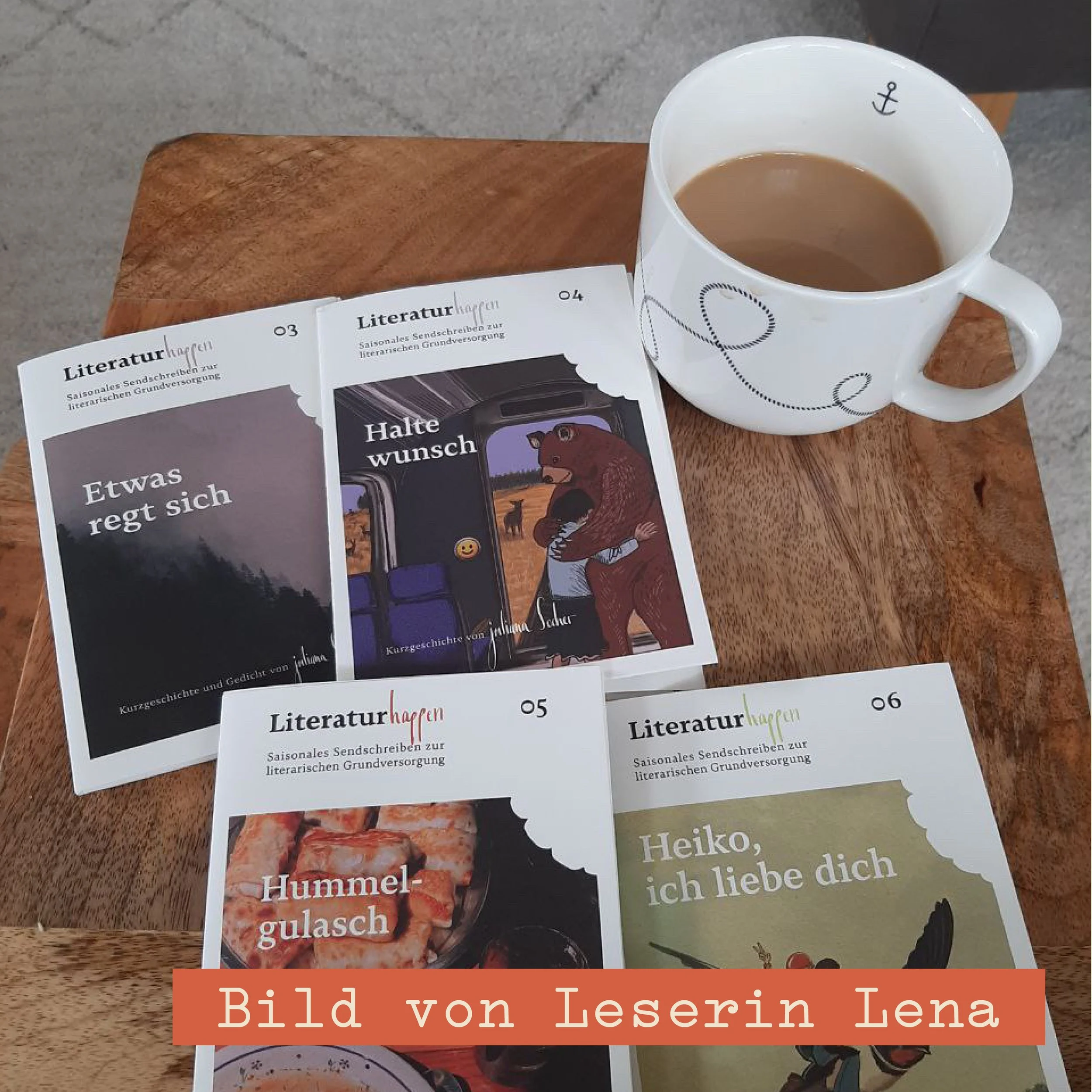 literaturhappen-juliana-socher-abo-2026-2.jpg